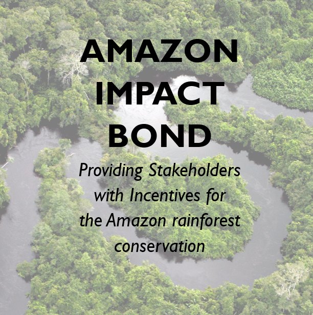 Cover of the Amazon Impact Bond white paper: aerial view of a river winding through the Amazon rainforest