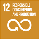 UN Sustainable Development Goal 12: Responsible Consumption and Production