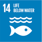 UN Sustainable Development Goal 14: Life Below Water